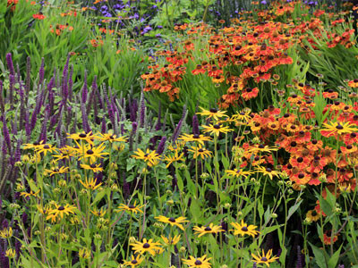 Barwy jesieni - ogród pełen kolorów